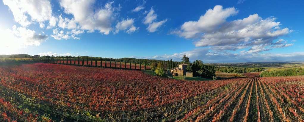 Relais Villa Grazianella | Una Esperienze Acquaviva  Oda fotoğraf