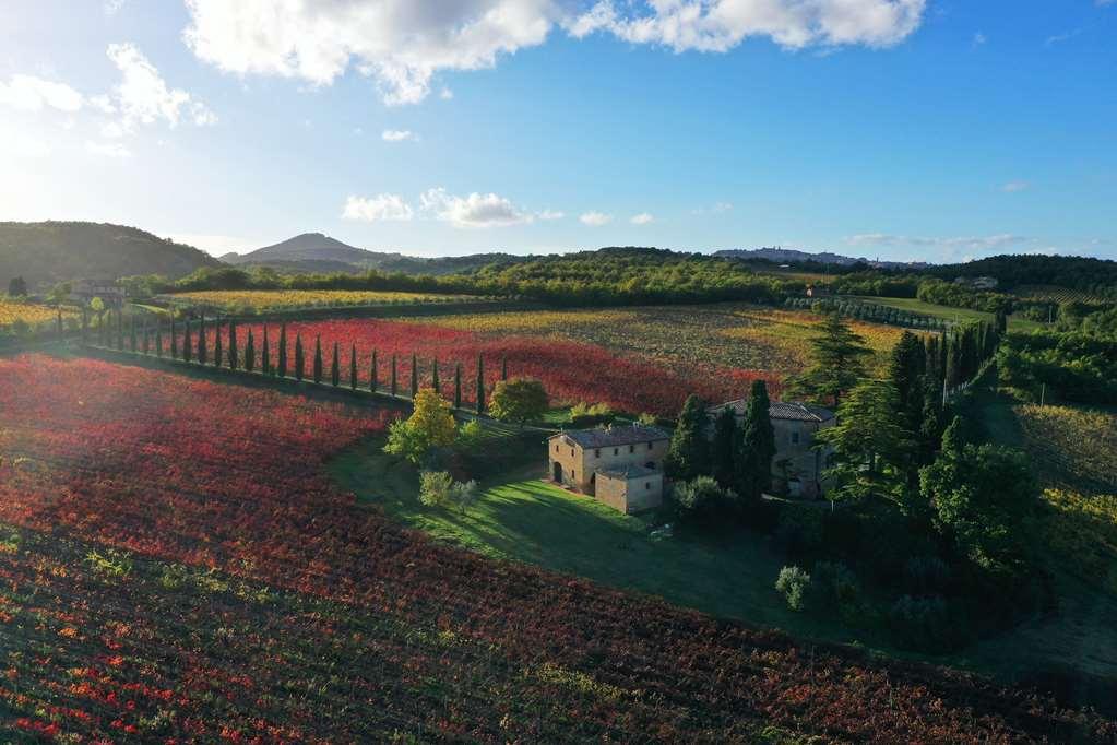 Relais Villa Grazianella | Una Esperienze Acquaviva  Oda fotoğraf