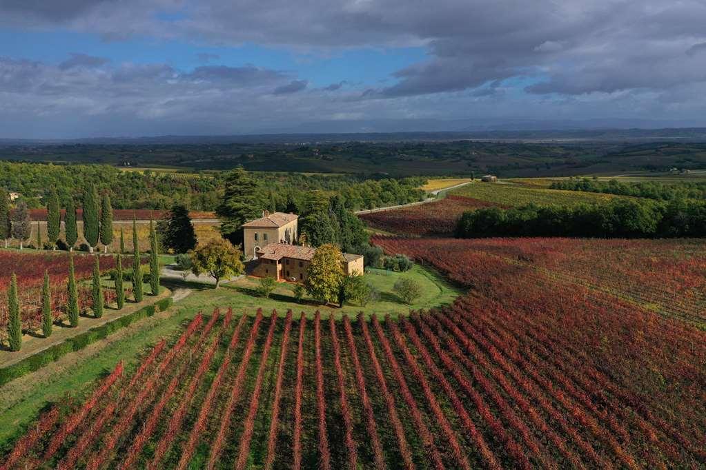 Relais Villa Grazianella | Una Esperienze Acquaviva  Oda fotoğraf