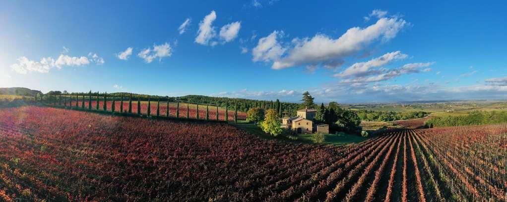 Relais Villa Grazianella | Una Esperienze Acquaviva  Oda fotoğraf