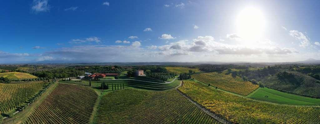 Relais Villa Grazianella | Una Esperienze Acquaviva  Oda fotoğraf