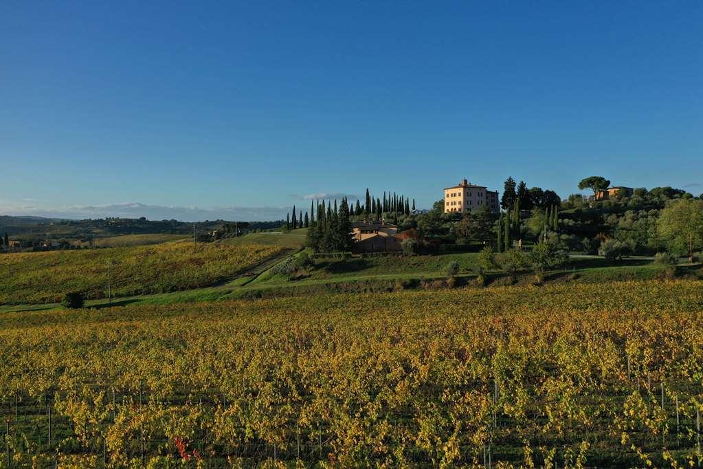 Relais Villa Grazianella | Una Esperienze Acquaviva  Oda fotoğraf