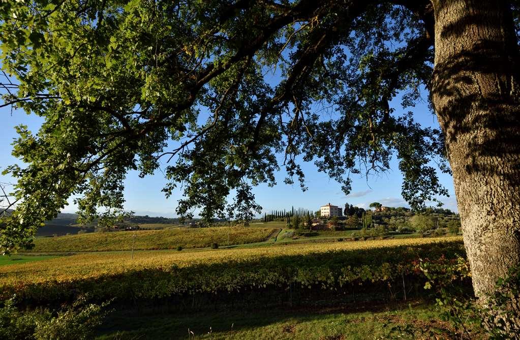 Relais Villa Grazianella | Una Esperienze Acquaviva  Oda fotoğraf